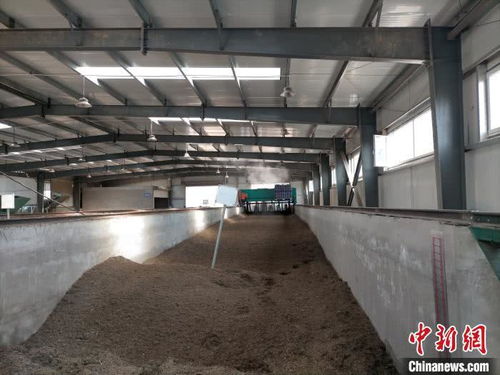 山西太原 園林垃圾資源化再利用，綠廢“變身”科創產品